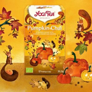 Yogi_Tea_Pumpkin_Chai_17_pss