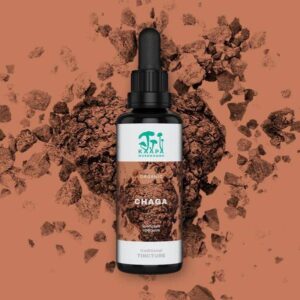 Kaapa_mushrooms_Chaga_Organic_Tincture_50ml